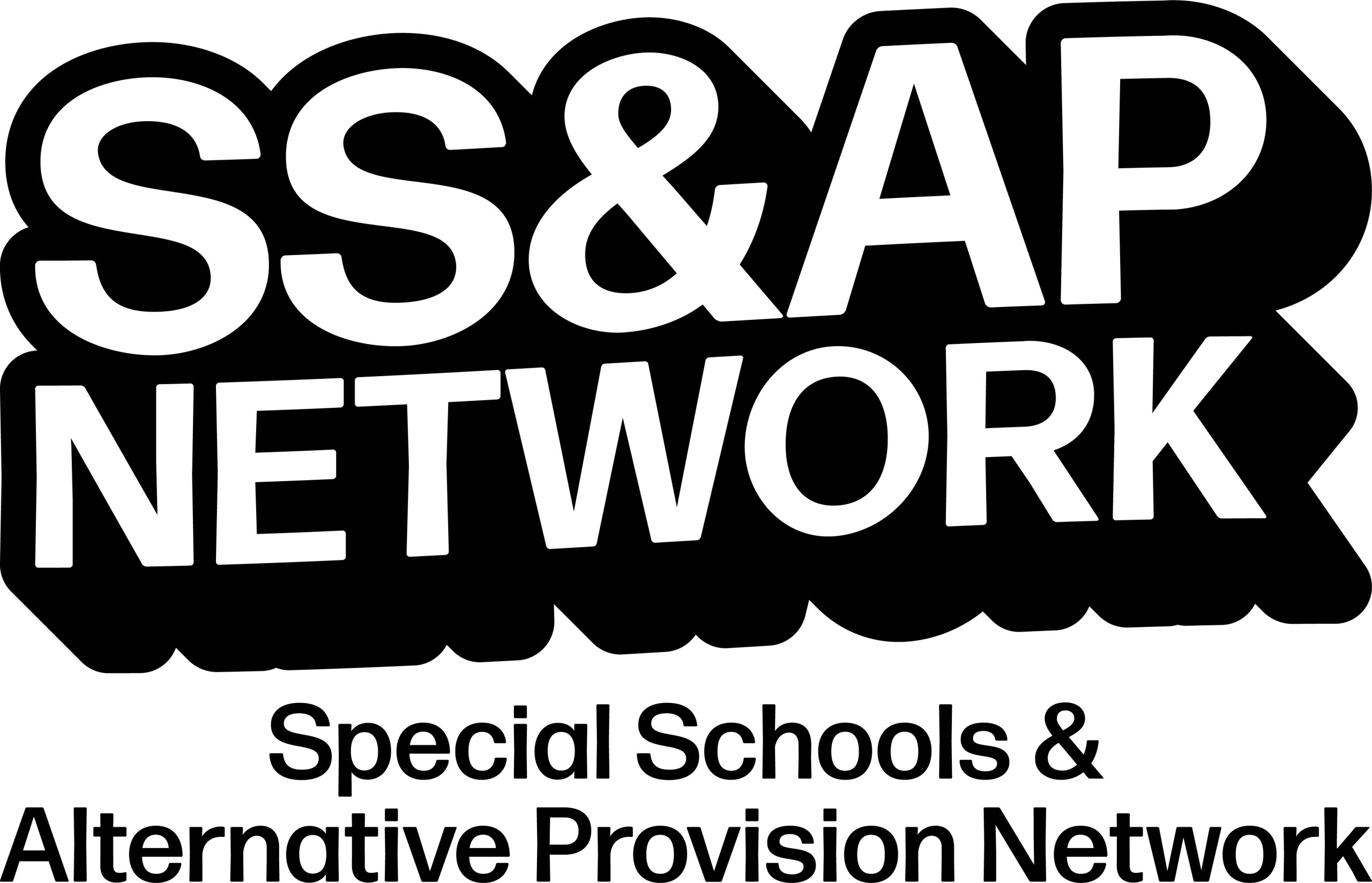 Special Schools and Alternative Provision Network